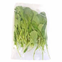 Rúcula Envasada x 70 gr