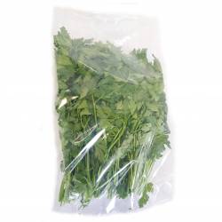 Perejil Envasado x 100 gr