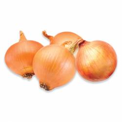 Cebolla (Kg)