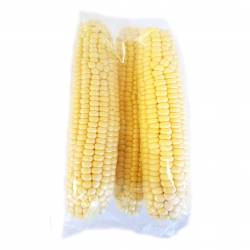 Choclo sin chala Envasado x 530 gr