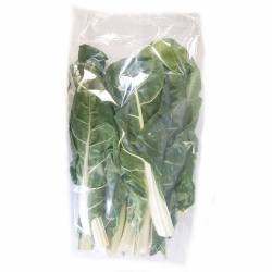 Acelga Envasada x 500 gr