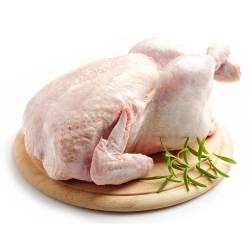 Pollo Fresco Pollolin (Kg)