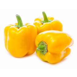 Morrón Variedades (Kg)