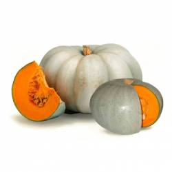 Zapallo Criollo (Kg)