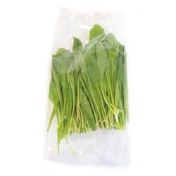 Radicheta Envasada x 70 gr