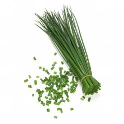 Ciboulette Envasado x 70 gr