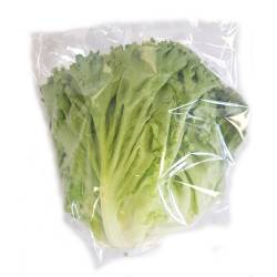 Lechuga Francesa Envasada x 250 gr