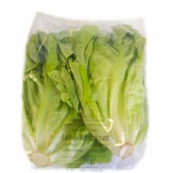 Lechuga Mantecosa Envasada x 200 gr