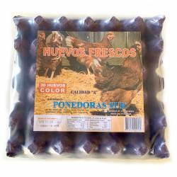 Huevo Color en Maple Ponedoras Sur x 30 un.