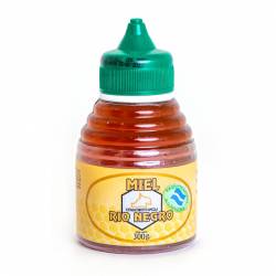 Miel de Abejas c/Dosificador Rio Negro x 300 g.