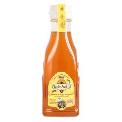 Miel de Abejas Pico Vertedor Monte Austral x 500 g.