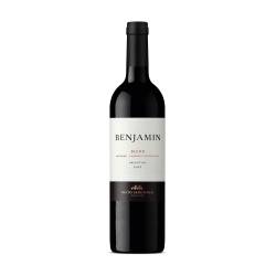 Vino Tinto Malbec - Cabernet Sauv Benjamin x 750 cc.