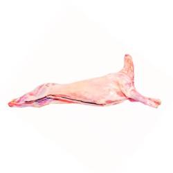 Cordero Congelado La Anónima (Kg)